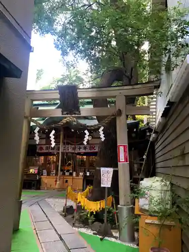 少彦名神社の鳥居