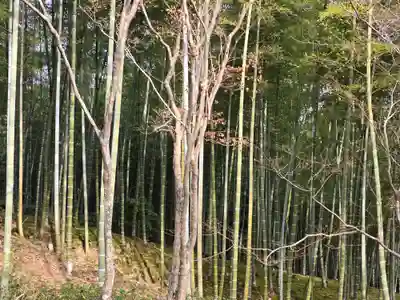 天龍寺(京都府)