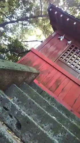 鷲宮神社(埼玉県)