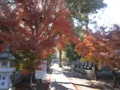 石鎚神社 口之宮 本社(愛媛県)