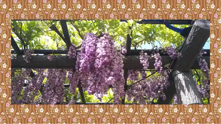 浅草神社(東京都)