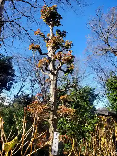 石都々古和気神社(福島県)