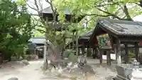 石手寺(愛媛県)