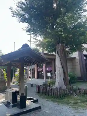 日野八坂神社(東京都)