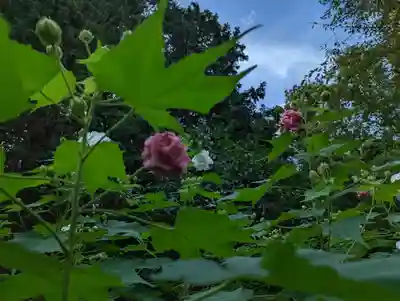 大乗寺(京都府)