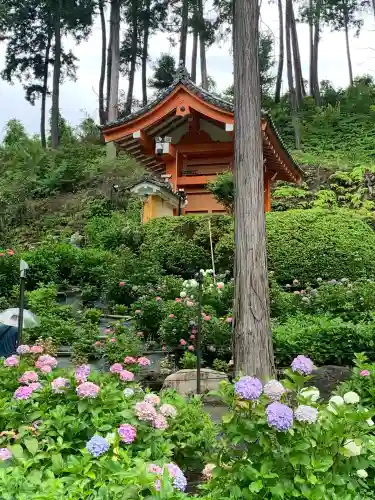 三室戸寺(京都府)