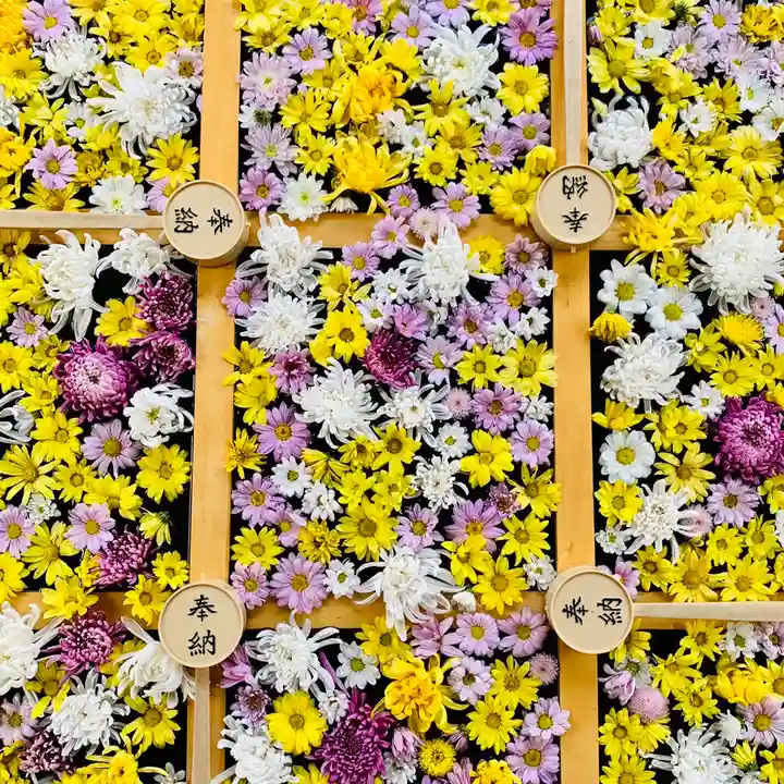 土津神社|こどもと出世の神さまの手水舎