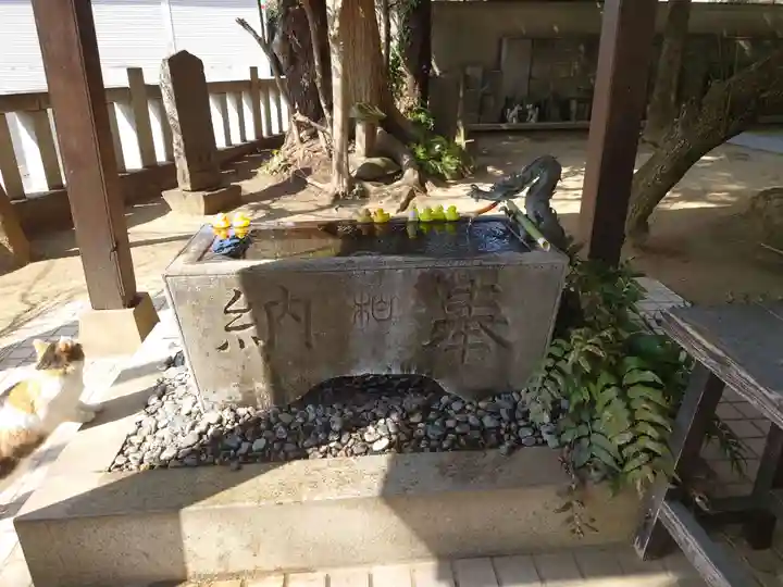 柏諏訪神社の手水舎