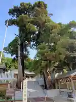 石部神社の自然