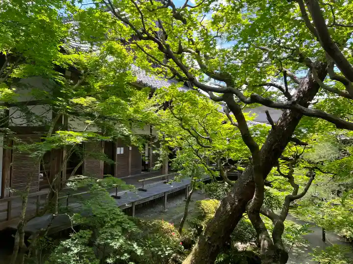 禅林寺(永観堂)(京都府)