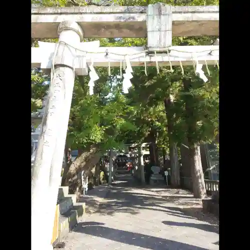 椙本神社の鳥居