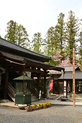 法泉寺(埼玉県)
