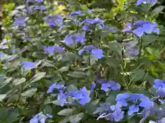 天岩戸神社(宮崎県)