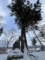 金ケ崎神社(岩手県)
