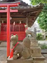 田中稲荷神社の狛犬