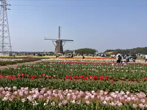 麻賀多神社(千葉県)