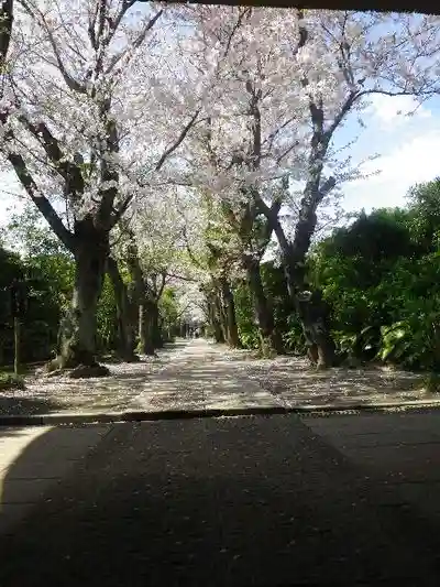 極楽寺(霊鷲山感應院極楽律寺)の自然