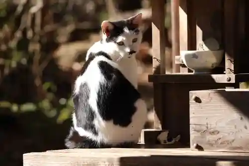 玉野御嶽神社(愛知県)