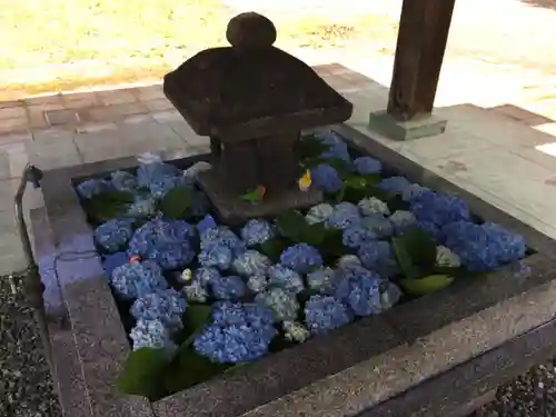 砂川神社の手水