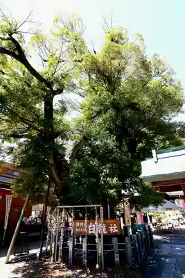 伊奴神社(愛知県)