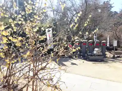 多聞院(埼玉県)