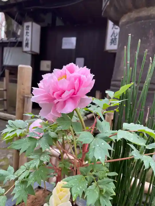 上野東照宮(東京都)