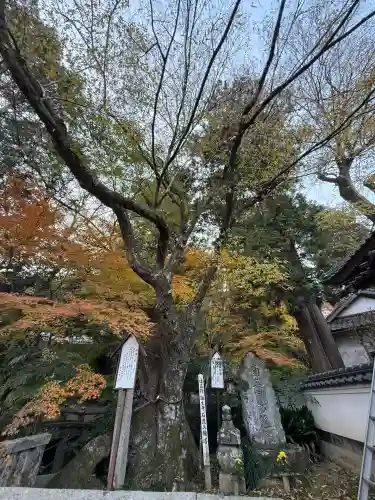 誕生寺(岡山県)