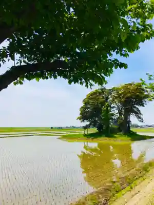 愛宕神社の周辺