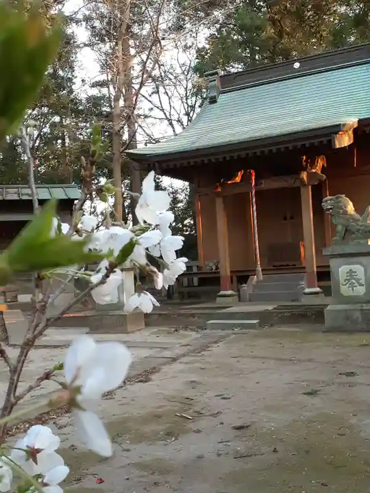羽黒神社の本殿・本堂