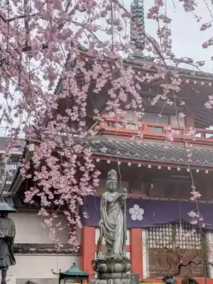 新井薬師(梅照院)(東京都)