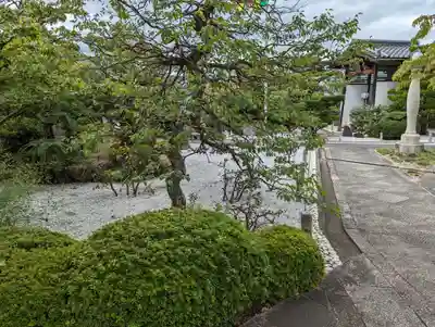 龍雲寺（桃山善光寺）(京都府)