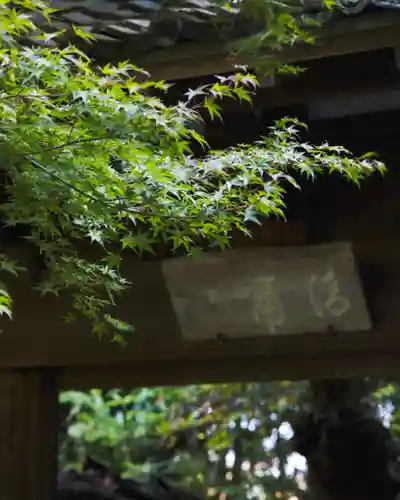 瑞鳳寺(宮城県)