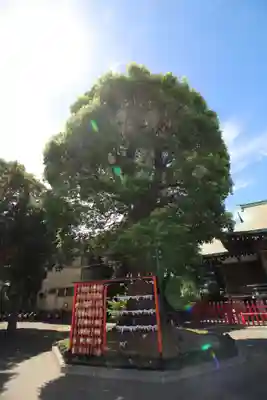 東京羽田 穴守稲荷神社(東京都)