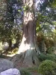 赤門の寺　法蔵寺(栃木県)