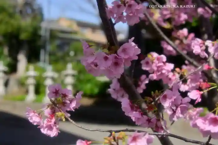 峯ヶ岡八幡神社(埼玉県)