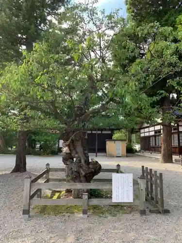 射水神社の庭園