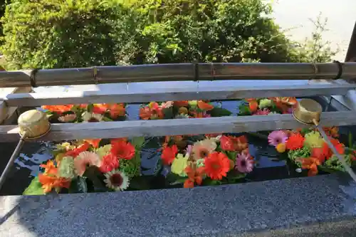 豊景神社の手水舎