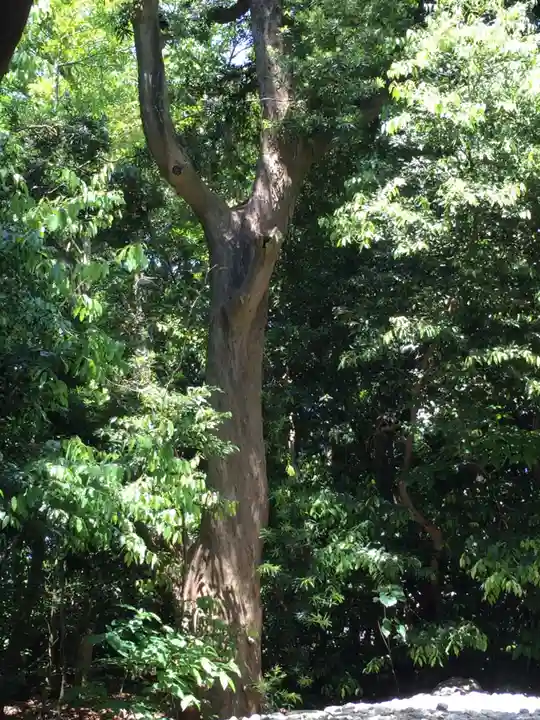 志宝屋神社(豊受大神宮末社)の自然
