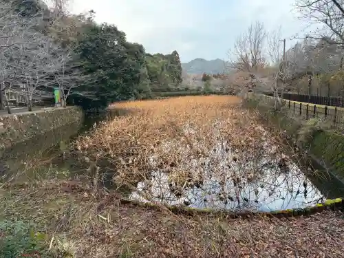 御髪神社の{uncategorized: "未分類", other: "その他", undefined: "問題あり", building: "その他建物", grave: "お墓", sacred_gate: "鳥居", guardian: "狛犬", statue: "像", buddha: "仏像", history: "歴史", nature: "自然", garden: "庭園", animal: "動物", pagoda: "塔", temizu: "手水舎", mountain_gate: "山門・神門", sanctuary: "本殿・本堂", subordinate: "末社・摂社", art: "芸術", scenery: "景色", jizo: "地蔵", ema: "絵馬", goshuin: "御朱印", omikuji: "おみくじ", items: "授与品その他", amulet: "お守り", goshuincho: "御朱印帳", eats: "食事", festival: "お祭り", votive_dance: "神楽", shichigosan: "七五三参", wedding: "結婚式", experience: "体験その他", initially: "初詣", around: "周辺", anti_infection: "感染症対策"}