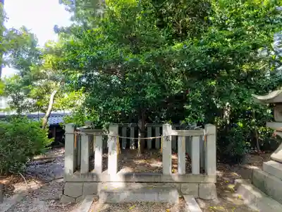 矢作神社の自然