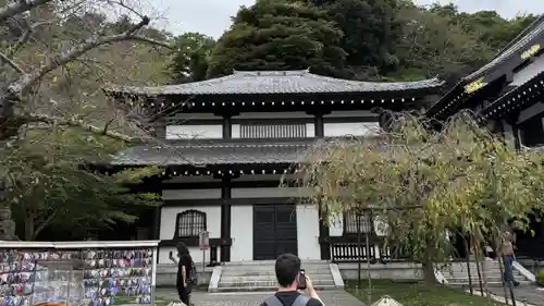 長谷寺(神奈川県)