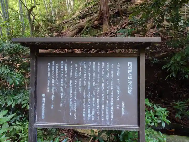 須佐之男神社(愛知県)