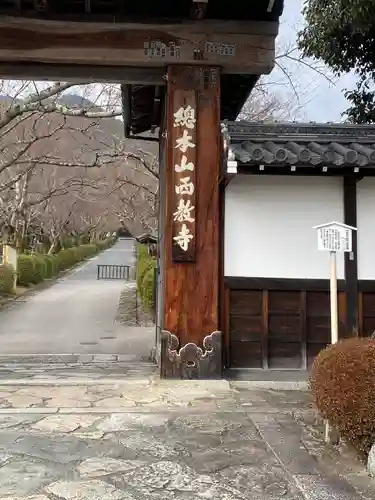 西教寺の山門