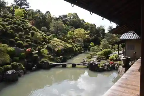  智積院(京都府)