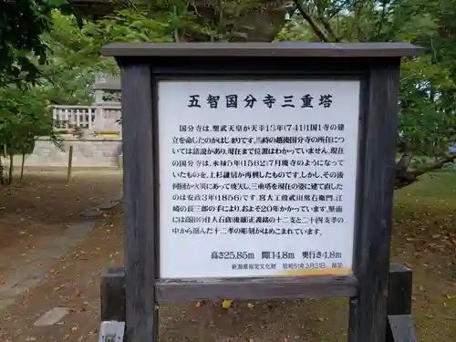 国分寺の建物その他