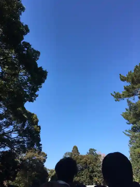 武蔵一宮氷川神社の自然