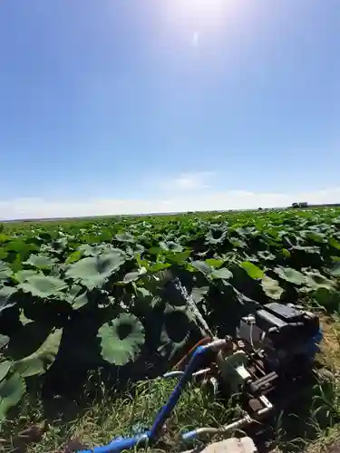 八坂神社(茨城県)