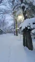 新琴似神社の建物その他