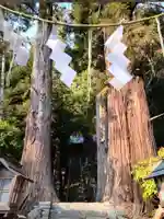 鹿島大神宮の自然