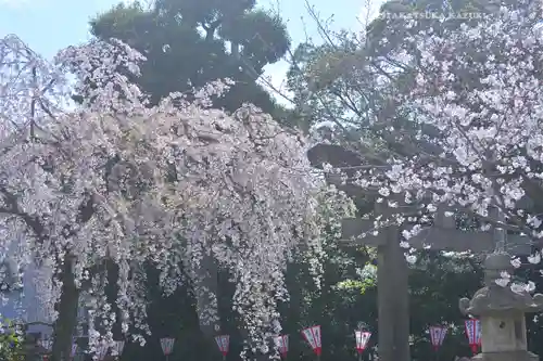 日枝神社(静岡県)